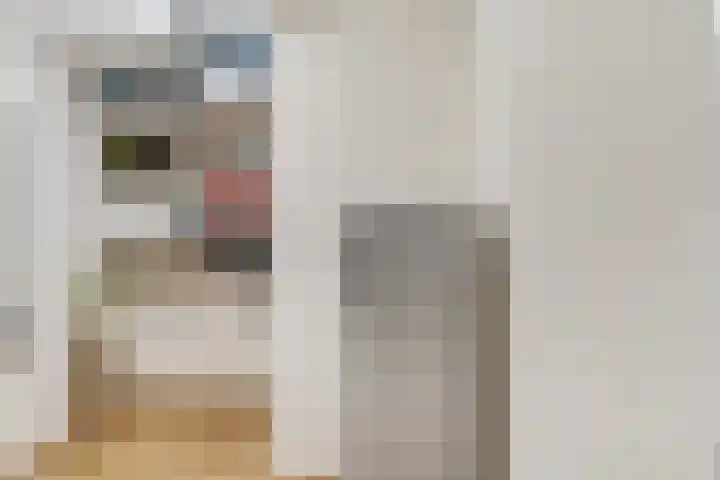 Scheepjeshof 5 Veenendaal thumbnail 13
