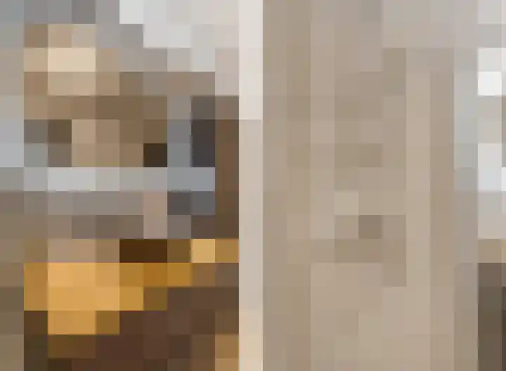 Scheepjeshof 5 Veenendaal thumbnail 17
