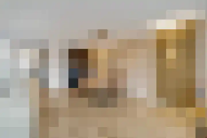 Scheepjeshof 5 Veenendaal thumbnail 21