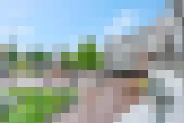 Scheepjeshof 5 Veenendaal thumbnail 24