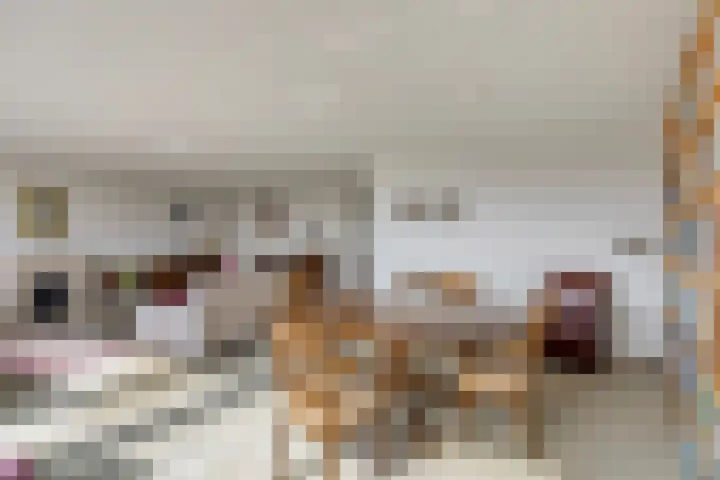 Scheepjeshof 73 Veenendaal thumbnail 14