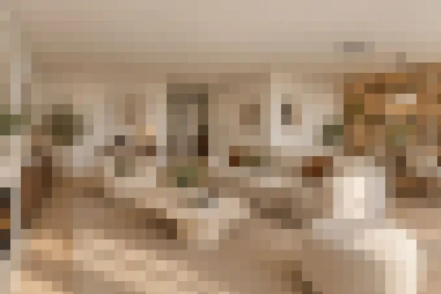 Scheepjeshof 73 Veenendaal thumbnail 15