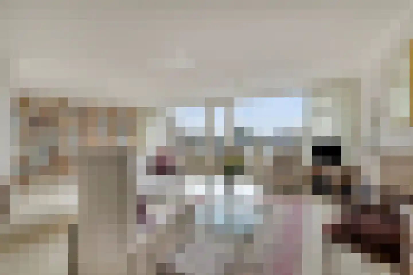 Scheepjeshof 73 Veenendaal thumbnail 4
