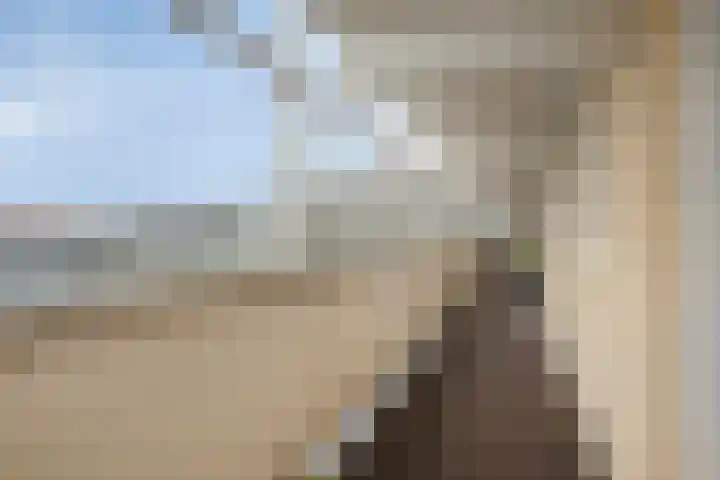 Scheepjeshof 83 Veenendaal thumbnail 17