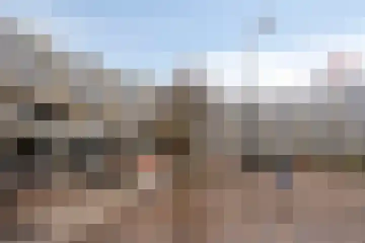 Scheepjeshof 83 Veenendaal thumbnail 23