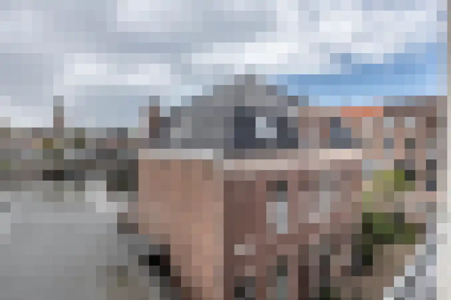 Scheepmakersdijk 21 A Haarlem thumbnail 33