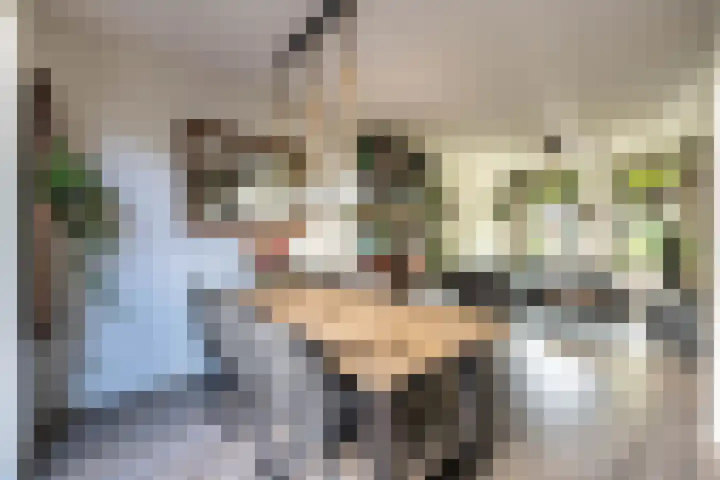 Scheepmakersdijk 21 A Haarlem thumbnail 5