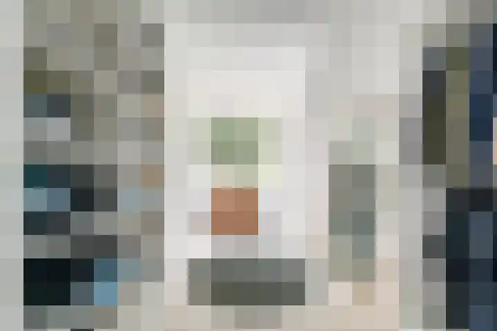 Scheepmakersdijk 9 ZW Haarlem thumbnail 13