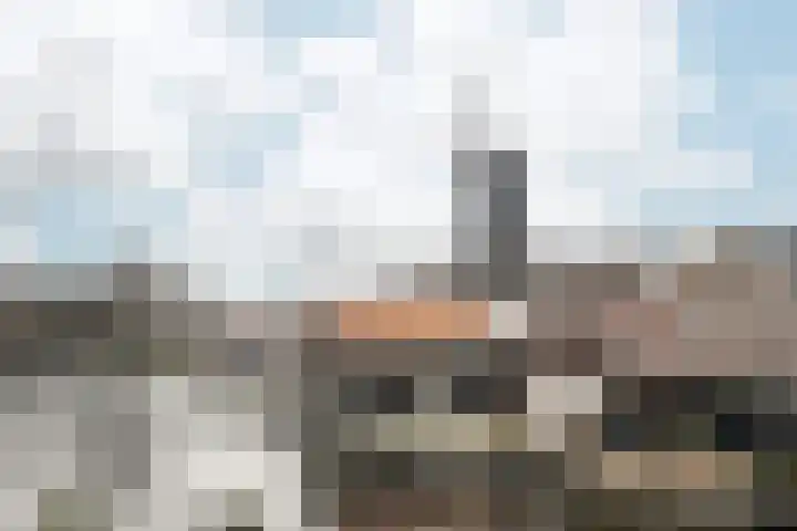 Scheepmakersdijk 9 ZW Haarlem thumbnail 19