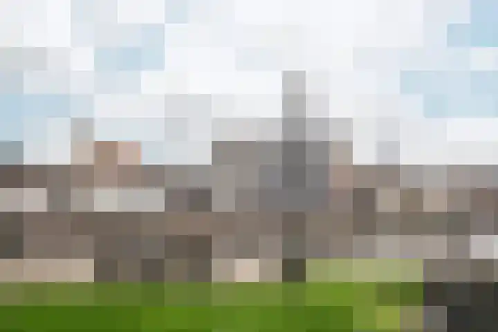 Scheepmakersdijk 9 ZW Haarlem thumbnail 20