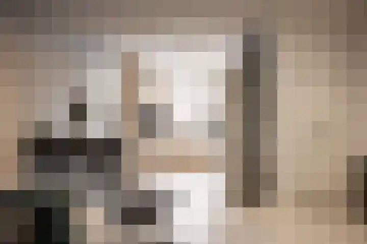 Scheepmakersdijk 9 ZW Haarlem foto 3