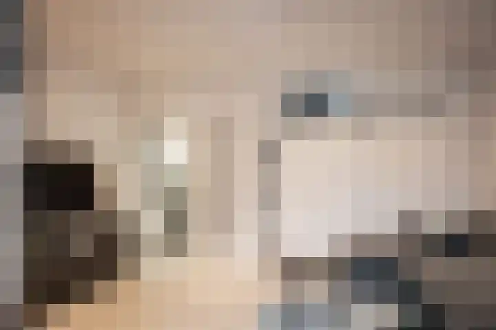 Scheepmakersdijk 9 ZW Haarlem thumbnail 6