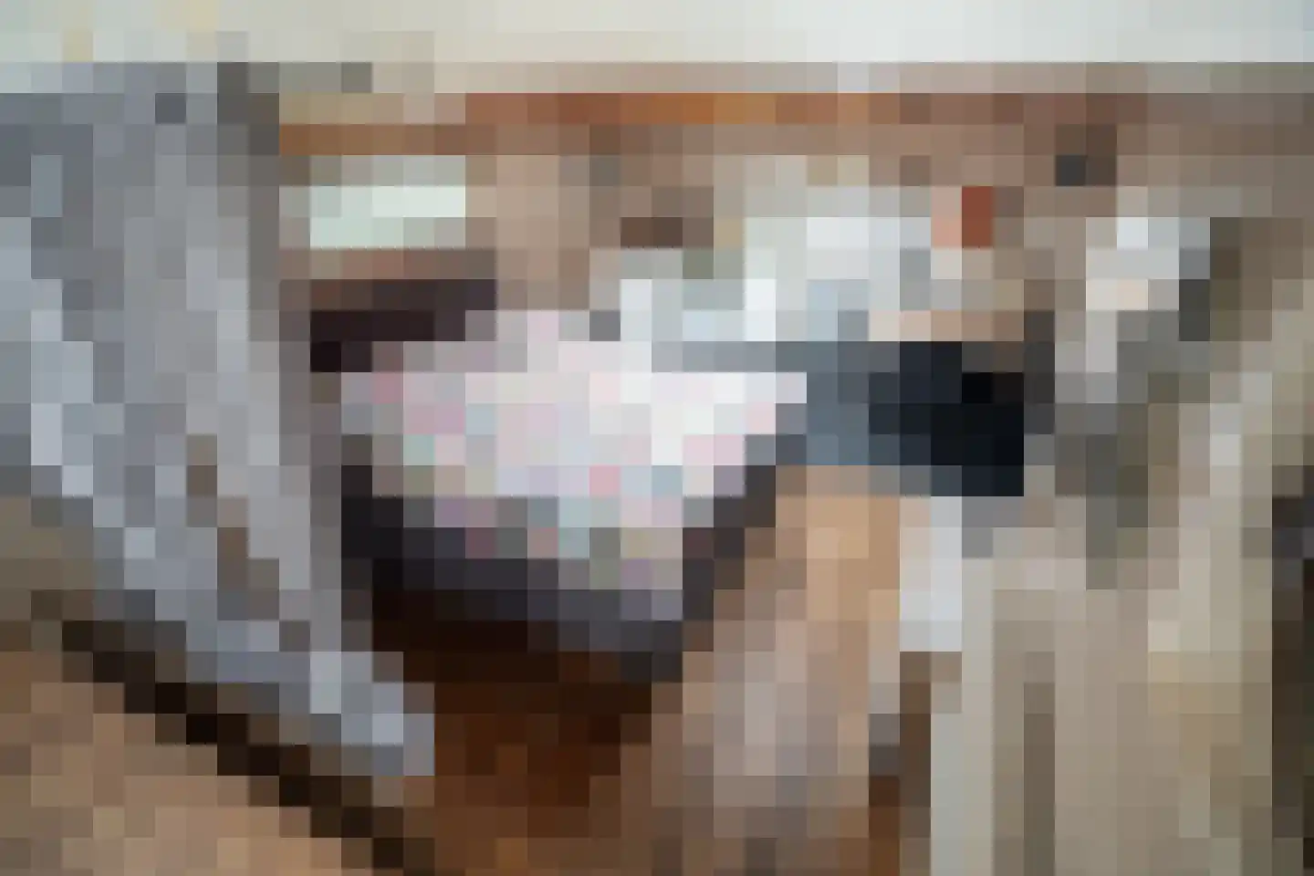 Scheepmakershaven 12 Rotterdam thumbnail 23