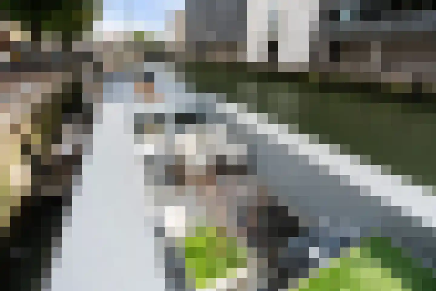 Scheepmakershaven 12 Rotterdam thumbnail 26