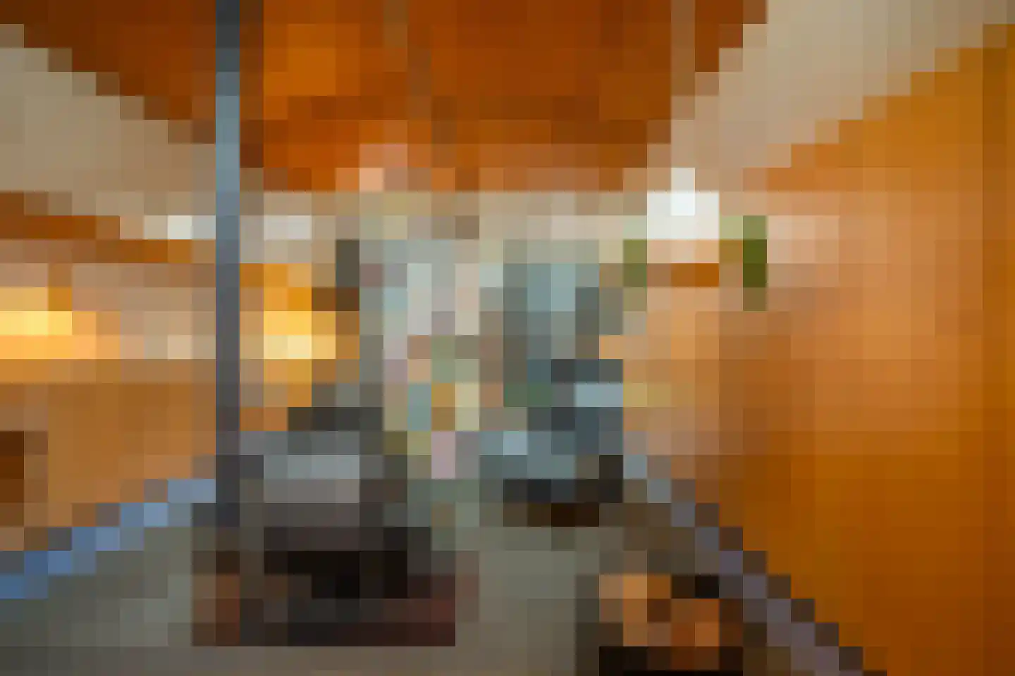 Scheepmakershaven 12 Rotterdam thumbnail 8