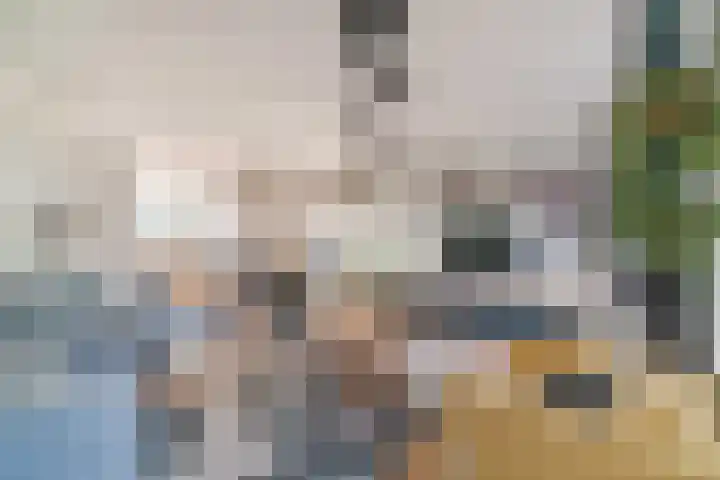 Scheepmakersingel 67 Delfgauw thumbnail 14
