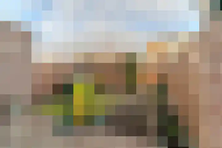 Scheepmakersingel 67 Delfgauw thumbnail 23