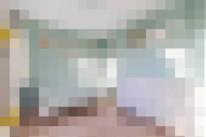 Scheepmakersingel 67 Delfgauw thumbnail 32