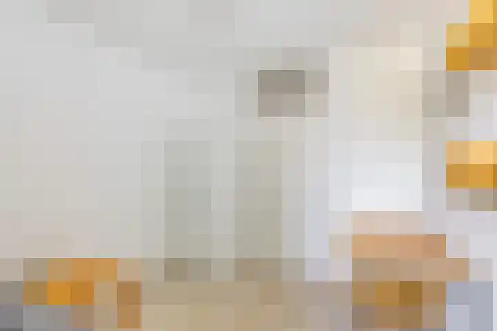 Scheepmakerskade 101 Rotterdam thumbnail 13