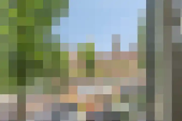 Scheepmakerskade 101 Rotterdam thumbnail 21