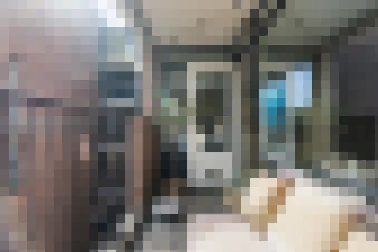 Scheepmakerskade 103 Rotterdam thumbnail 16