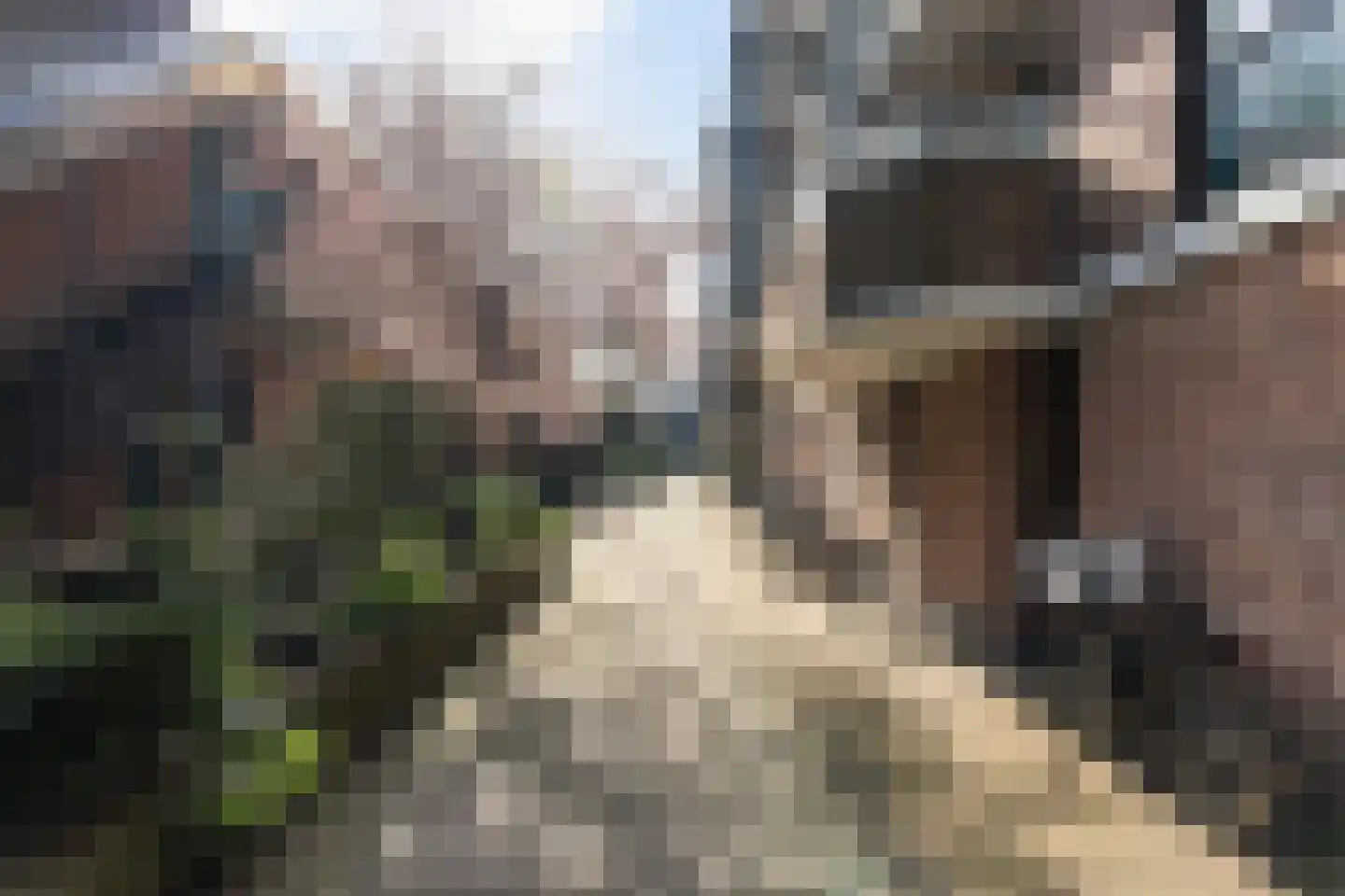 Scheepmakerskade 103 Rotterdam thumbnail 32
