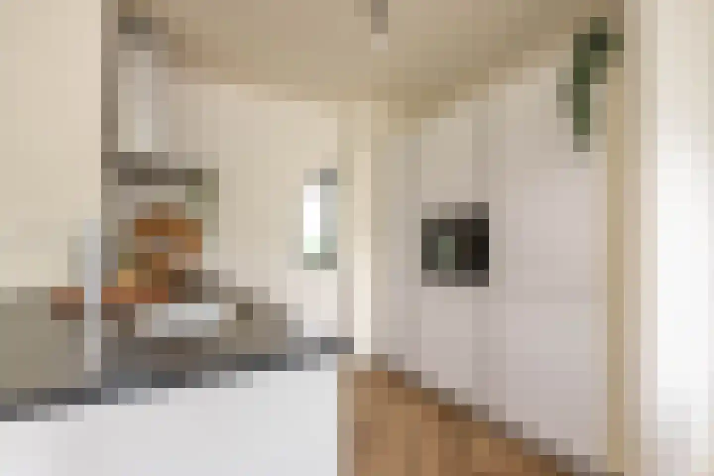 Scheepmakerskade 132 Rotterdam thumbnail 13