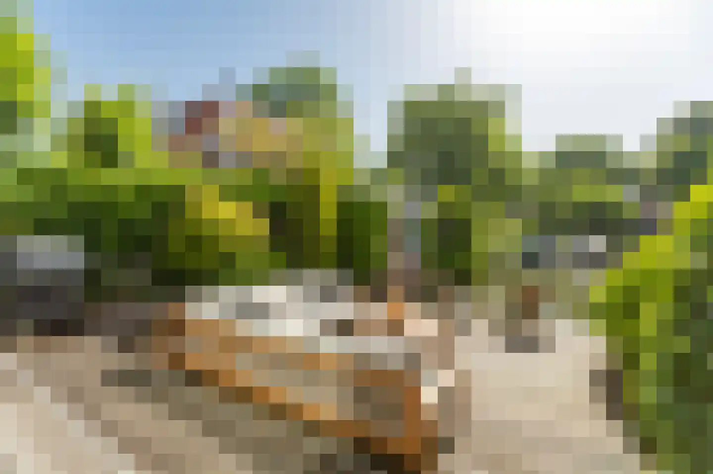 Scheepmakerskade 2 Amsterdam thumbnail 12