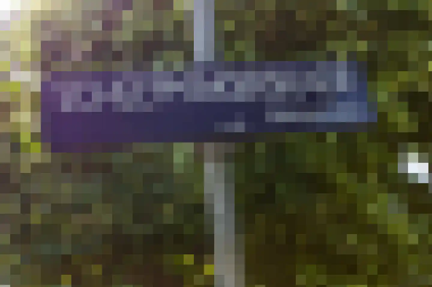 Scheepmakerskade 2 Amsterdam thumbnail 42