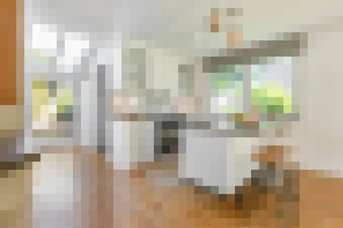 Scheepmakerskade 2 Amsterdam thumbnail 5