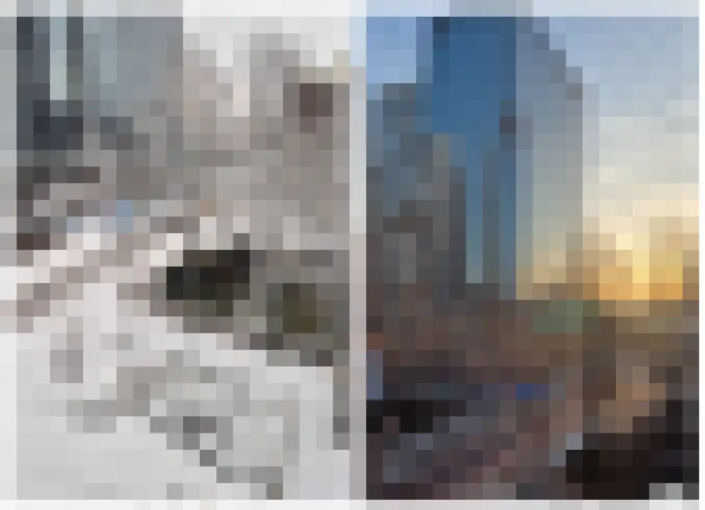 Scheepmakerskade 21 Rotterdam thumbnail 49
