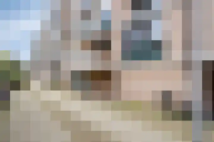 Scheepmakerskade 30 Rotterdam thumbnail 5