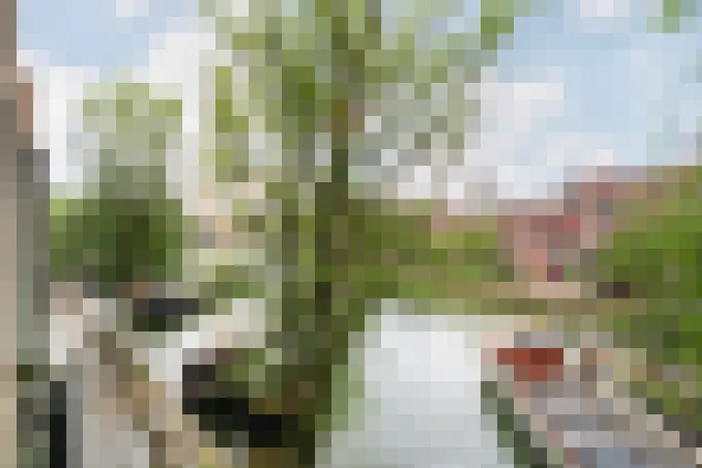 Scheepmakerskade 32 Rotterdam thumbnail 39
