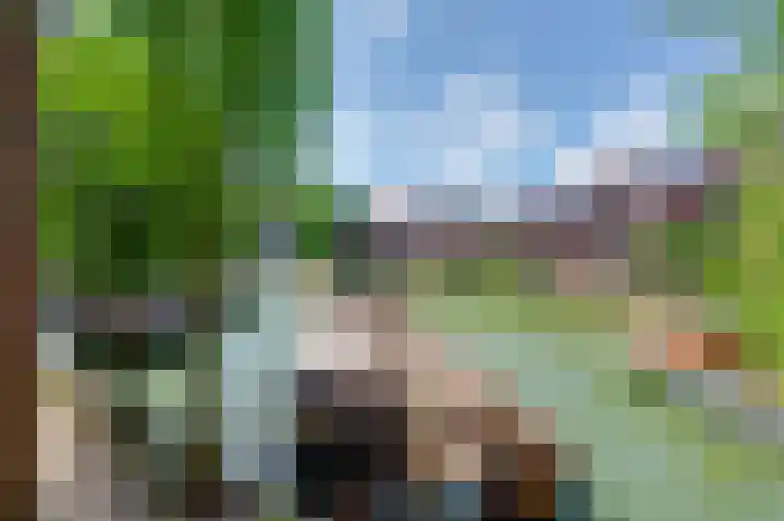 Scheepmakerskade 46 Rotterdam thumbnail 5