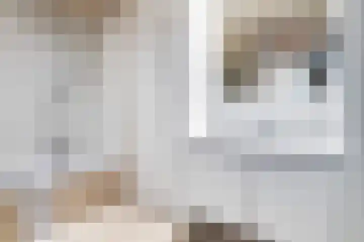 Scheepmakerskade 68 Rotterdam thumbnail 31