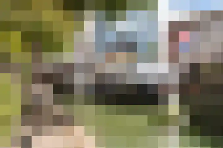 Scheepmakerskade 68 Rotterdam thumbnail 38