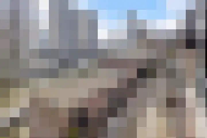 Scheepmakerskade 85 Rotterdam thumbnail 12
