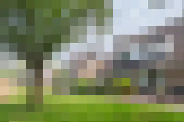 Scheepmakerskade 85 Rotterdam thumbnail 9