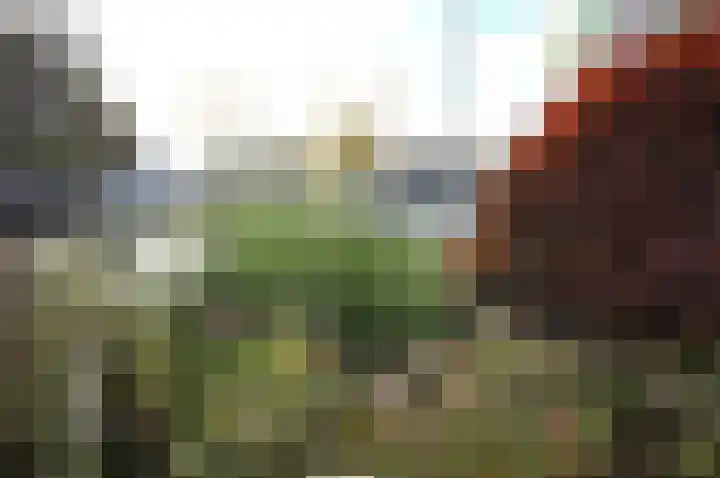 Scheepmakerskade 9 Amsterdam thumbnail 15