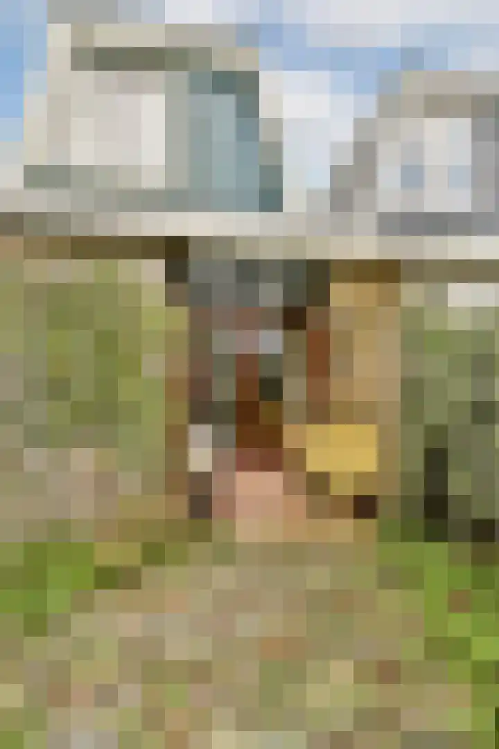 Scheepmakerskade 9 Amsterdam thumbnail 8