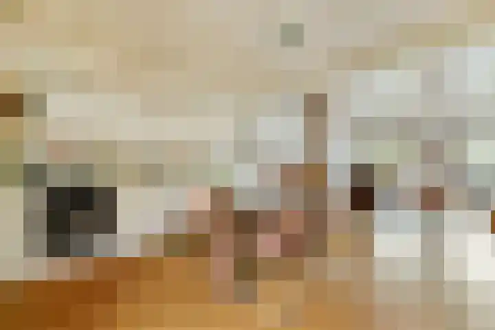 Scheepmakerskade 9 Amsterdam thumbnail 9