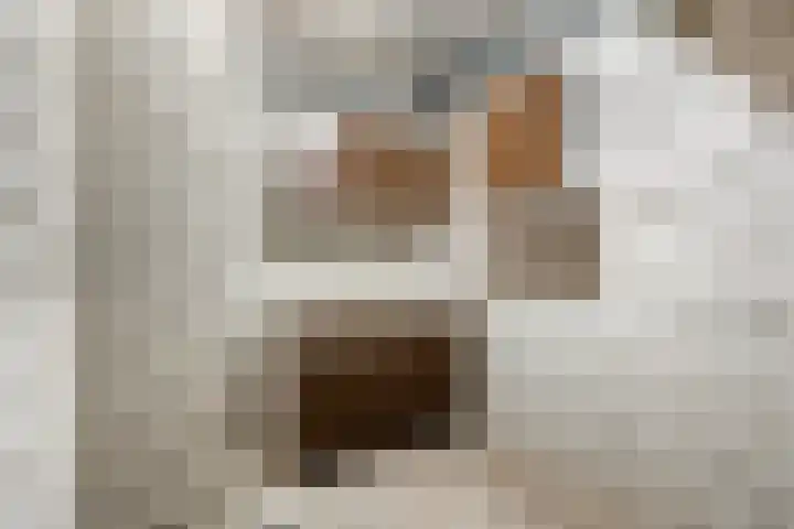 Scheepmakerskade 96 Rotterdam thumbnail 21