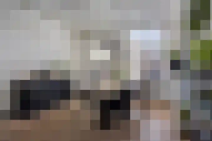 Scheepmakerspassage 147 Rotterdam thumbnail 6