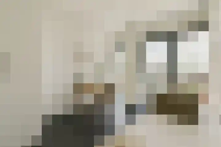 Scheepmakerspassage 153 Rotterdam thumbnail 13