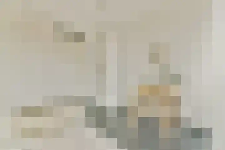 Scheepmakerspassage 153 Rotterdam thumbnail 14