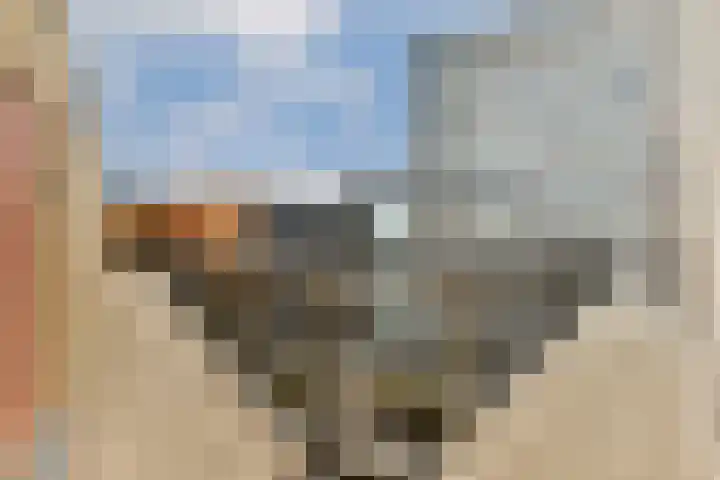 Scheepmakerspassage 153 Rotterdam thumbnail 18