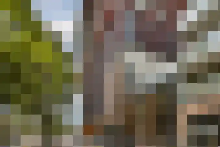 Scheepmakerspassage 153 Rotterdam thumbnail 23