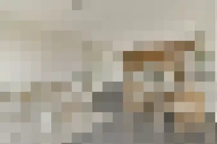 Scheepmakerspassage 153 Rotterdam thumbnail 7