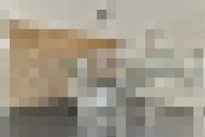 Scheepmakerspassage 153 Rotterdam thumbnail 8