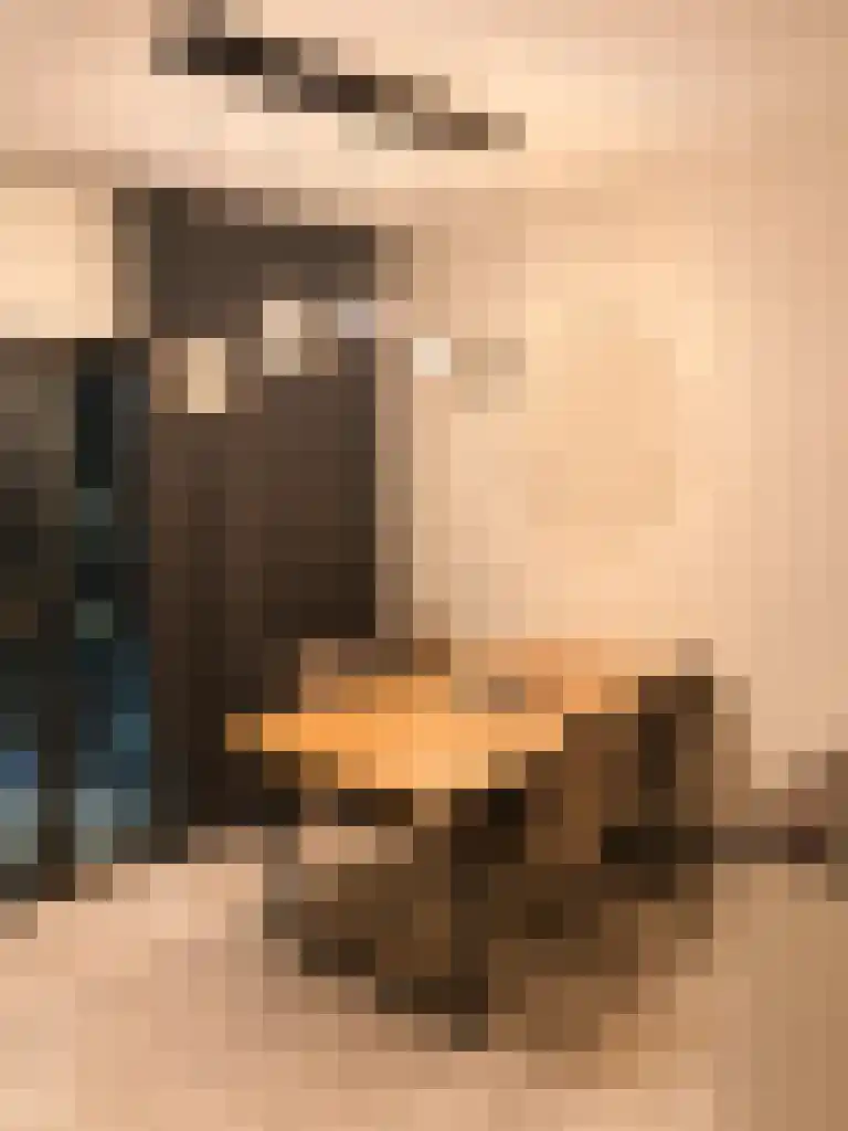 Scheepmakerspassage 157 Rotterdam thumbnail 4